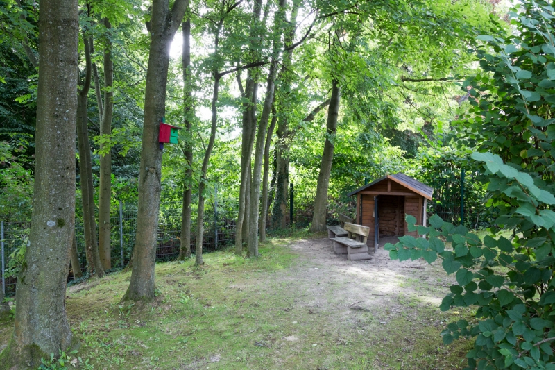hinteres Außengelände mit Spielhaus und kleinem Wald