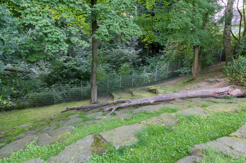 hinteres terassenförmiges  Gelände mit Waldbühne
